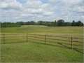 96 Acres &nbsp; Eupora, Webster County, Mississippi  $755,000