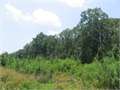 40.5 Acres &nbsp; Lena, Leake County, Mississippi  $52,650