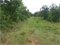 40 Acres &nbsp; Kosciusko, Attala County, Mississippi  $61,000