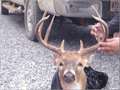 150 Acres &nbsp; Wisner, Franklin Parish, Louisiana  $300,000