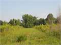 183 Acres &nbsp; Canton, Madison County, Mississippi  $430,050