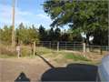 60 Acres &nbsp; Delhi, Richland Parish, Louisiana  $150,000