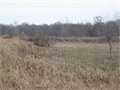 106 Acres &nbsp; Eudora, Chicot County, Arkansas  $207,000