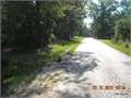 10 Acres &nbsp; Marion, Union Parish, Louisiana  $27,000