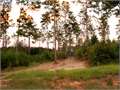 12 Acres &nbsp; Jayess, Walthall County, Mississippi  $44,000