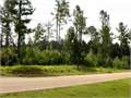 10 Acres &nbsp; Jayess, Walthall County, Mississippi  $38,500