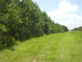 Clinton, Hinds County, Mississippi Land For Sale - 279 Acres