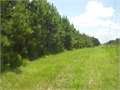 279 Acres &nbsp; Clinton, Hinds County, Mississippi  $837,000