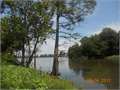 600 Acres &nbsp; Woodville, Wilkinson County, Mississippi  $1,320,000