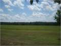  &nbsp; Hazlehurst, Copiah County, Mississippi  