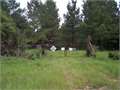 40 Acres &nbsp; Foxworth, Marion County, Mississippi  $135,000
