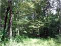 4.2 Acres &nbsp; Summit, Pike County, Mississippi  $25,000