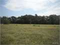49.95 Acres &nbsp; Winnsboro, Franklin Parish, Louisiana  $89,000