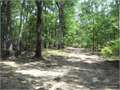 289 Acres &nbsp; Bivins, Marion County, Texas  $619,000