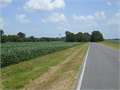 80 Acres &nbsp; Canton, Madison County, Mississippi  $800,000