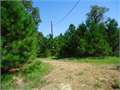 672 Acres &nbsp; Columbia, Caldwell Parish, Louisiana  $698,880