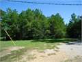 80 Acres &nbsp; Columbia, Caldwell Parish, Louisiana  $132,000