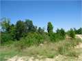 92 Acres &nbsp; Columbia, Caldwell Parish, Louisiana  $95,404
