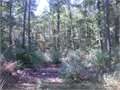 112 Acres &nbsp; Carthage, Panola County, Texas  $375,200