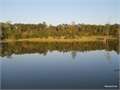 10 Acres &nbsp; West Monroe, Ouachita Parish, Louisiana  $79,000