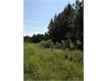 40 Acres &nbsp; Dodson, Winn Parish, Louisiana  $156,000