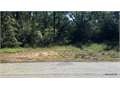15.39 Acres &nbsp; Newton, Newton County, Texas  $57,500