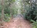 100 Acres &nbsp; Liberty, Amite County, Mississippi  $300,000