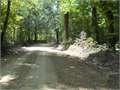 337.5 Acres &nbsp; Yazoo City, Yazoo County, Mississippi  $891,000