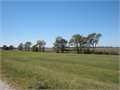 785 Acres &nbsp; Elaine, Phillips County, Arkansas  $1,530,750
