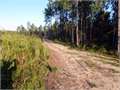 97 Acres &nbsp; Lumberton, Lamar County, Mississippi  $281,300