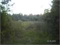 69 Acres &nbsp; Beaumont, Perry County, Mississippi  $96,255