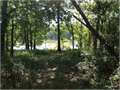 5 Acres &nbsp; Monroe, Ouachita Parish, Louisiana  $50,000