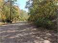 149 Acres &nbsp; Roxie, Franklin County, Mississippi  $369,000