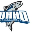 Utah Grizzlies at Idaho Steelheads