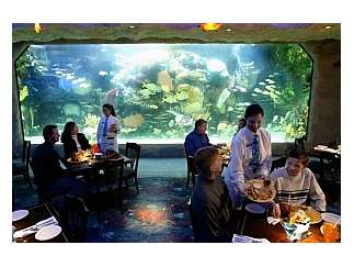 State Inspection Coupon >> Downtown Aquarium | Houston Events at khou.com State Inspection Coupon >> Downtown Aquarium | Houston Events at khou.com